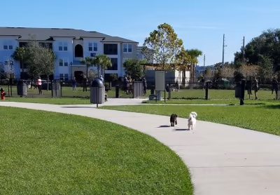 Lake Druid Park Dog Run photo 1